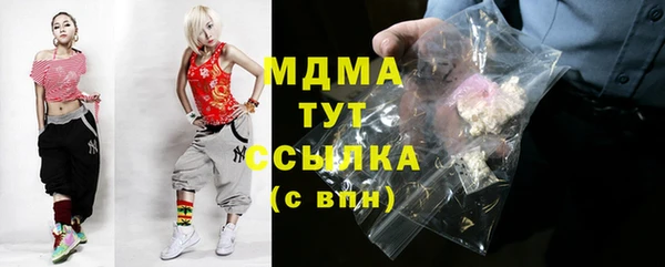 индика Арсеньев