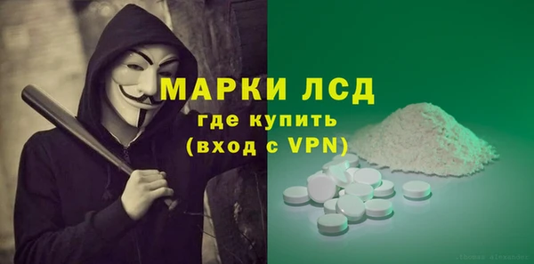 индика Арсеньев