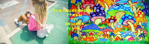 spice Армянск