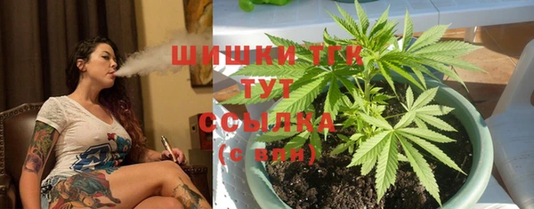 индика Арсеньев