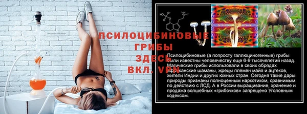 spice Армянск