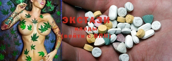 индика Арсеньев