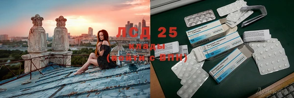 индика Арсеньев