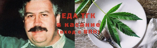 индика Арсеньев