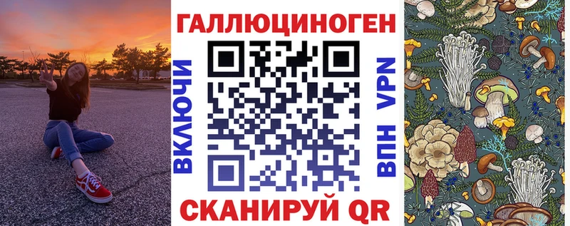 Псилоцибиновые грибы Cubensis  магазин    Новое Девяткино 