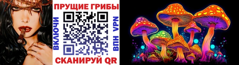 Псилоцибиновые грибы MAGIC MUSHROOMS Новое Девяткино